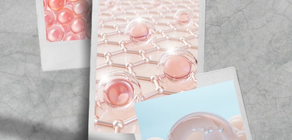 WhatsApp Image 2025-10-15 at 13.52.07_51640afa